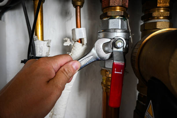 Best Leak Detection Services  in Corunna, MI